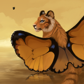 Чудесные метаморфозы