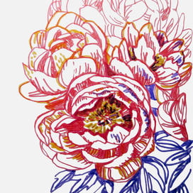 peonies
