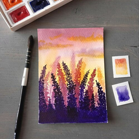 Цветы на закате