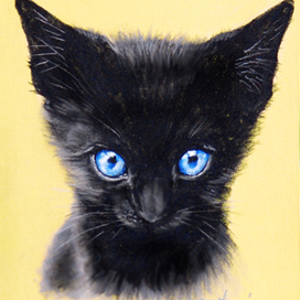 будущий ведьмин кот