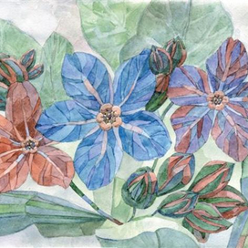 Незабудки. Калейдоскоп.