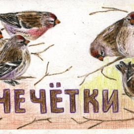 Набор "Учимся считать": ЧЕЧЁТКИ