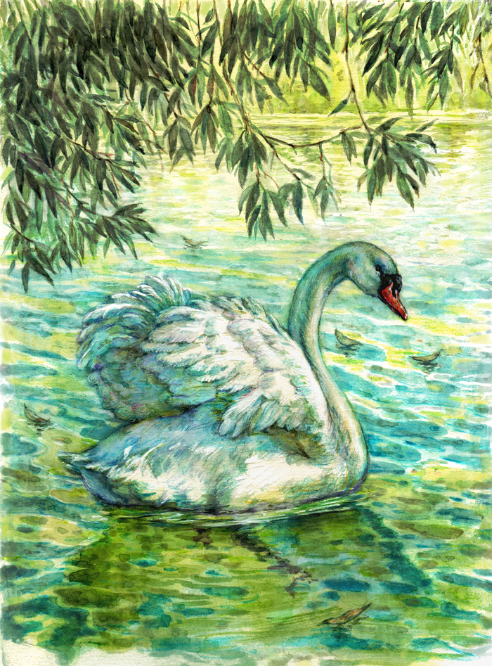 Лебедь. Иллюстрация к рассказам Аксакова