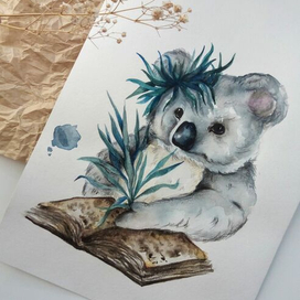 Коала и книга