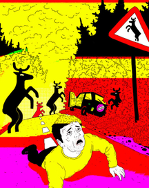 Осторожно олени