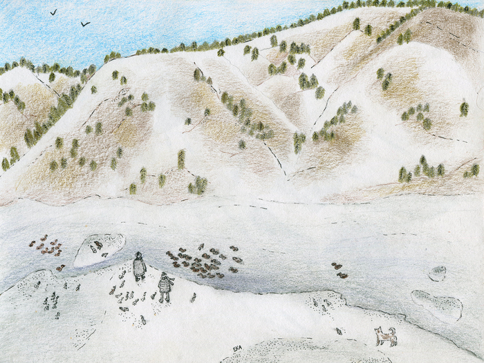 Диыногорск