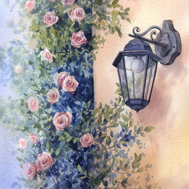 Розы у дома