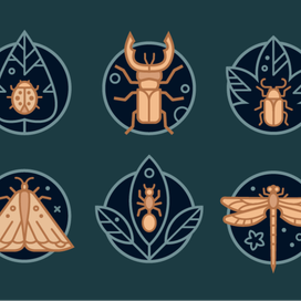 Векторные иконки с насекомыми