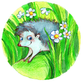 Ёжик спрятался... (2)