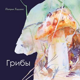 Суперобложка для книги Грибы