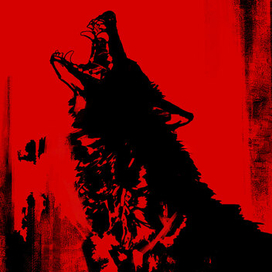 | Иллюстрация волка |