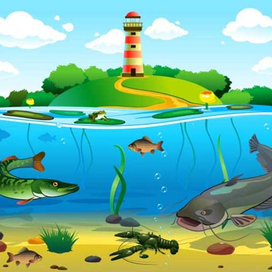 Речной водоём и его обитатели