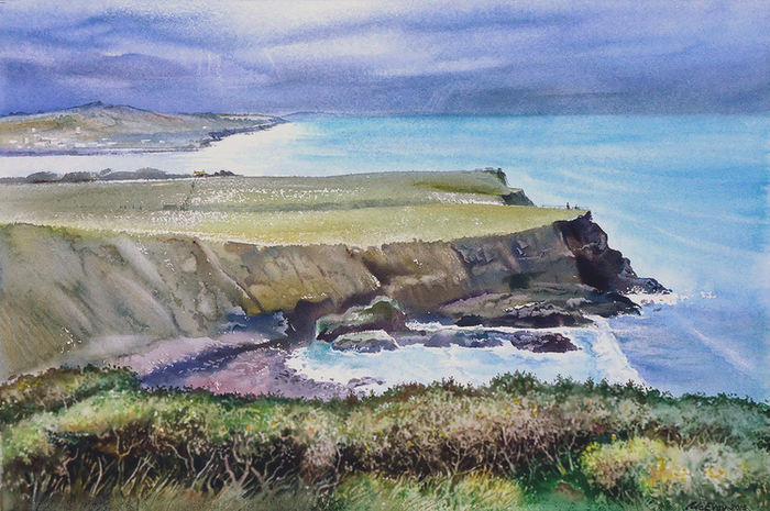 Можжевельник в Ирландии.