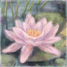 Лилия в мамином саду