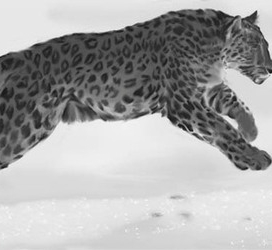 Кадр из рекламного ролика