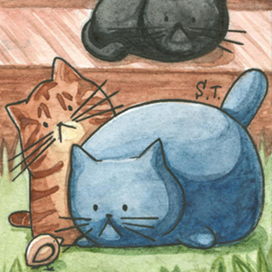 Коты на даче