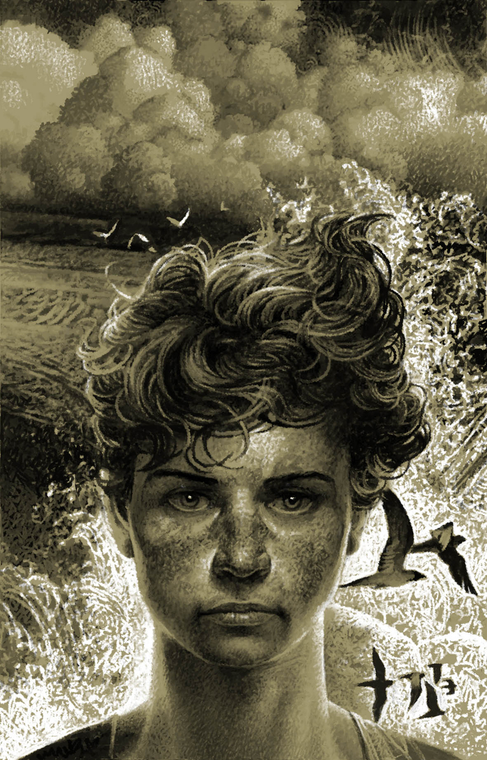 A. Pilipiuk „Norweski dziennik” Обложка