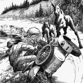 Возвращение росомахи. Илл.12