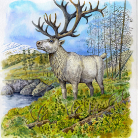 Земля Санникова