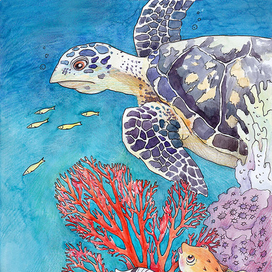 Разноцветные приключения. Черепаха.