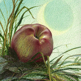 ДВЕ ПЛАНЕТЫ