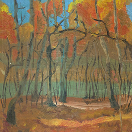 Сокольники