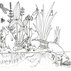 "Выходи из зоны комфорта"