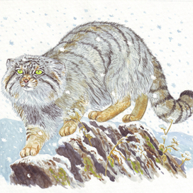 "Ох уж эти синоптики..."