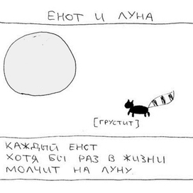 Енот и луна