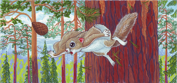 Пока ещё трудно назвать полётом