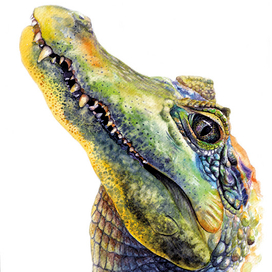 Грозный взгляд