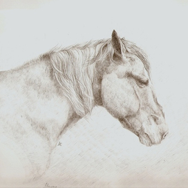 конь Мальчик