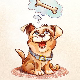 Раскраска Питомцы