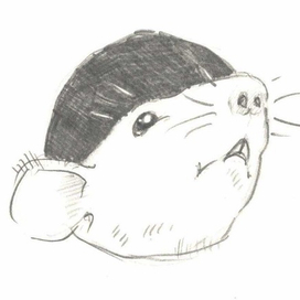 Мыши в сыре