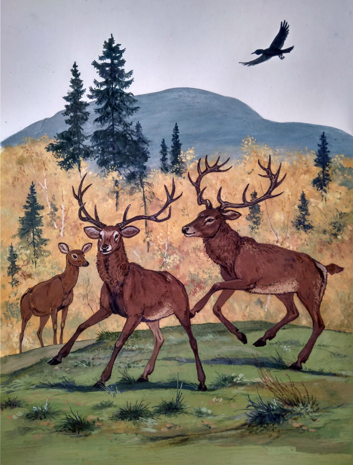 Олени (илл. к Лесной Азбуке 1 том)