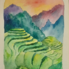 Рисовые поля