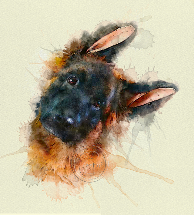 Малыш Луи (Швальбеннест Хеллоуин)