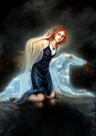 Сердце тени (обложка)