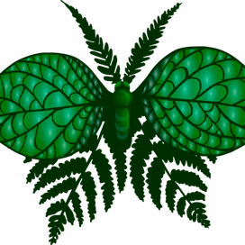 Бабочка-папоротник