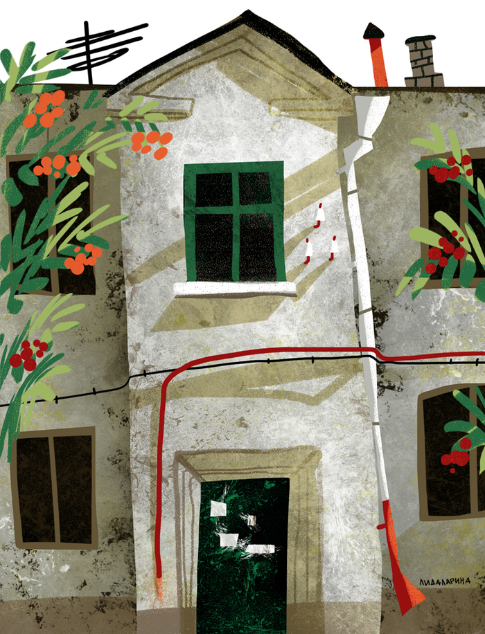 Подъезд с рябиной