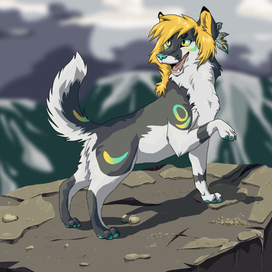 Волк на скале