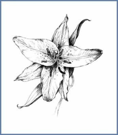 (без названия)