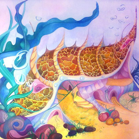 Дом-ракушка