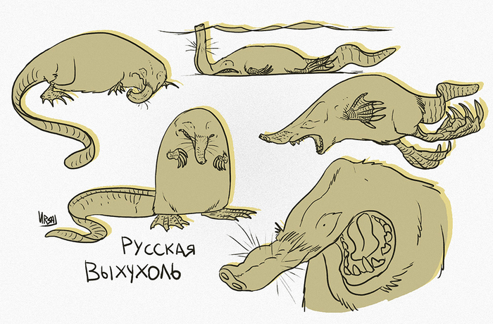 Русская выхухоль