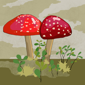 Серия "Северный лес"