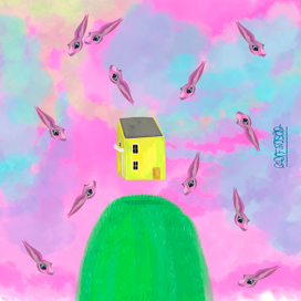 из твоих снов