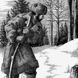 Возвращение росомахи. Илл.21