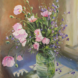 Розовые маки