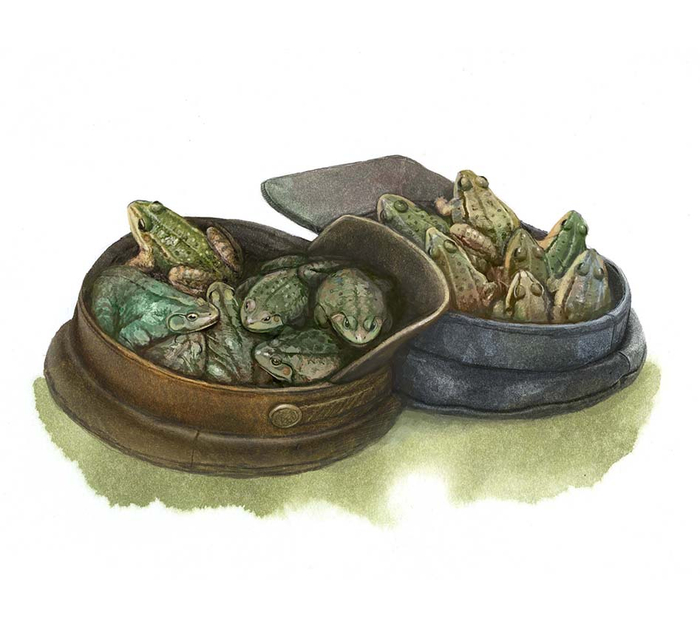 Журка. М.Пришвин