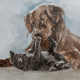 Братья не по крови